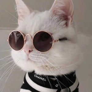 小道科技库 头像