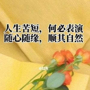 山推挖掘机装载机轮挖 头像