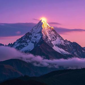 恰同学看历史 头像