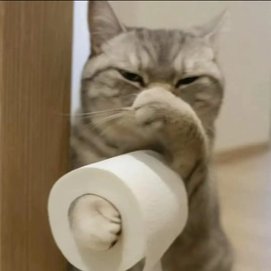 寂寞小孤独๓ 头像