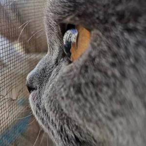 小凡科学局 头像