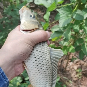 潜水看大海D唐 头像