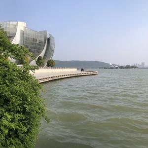 顺其自然HCoL 头像