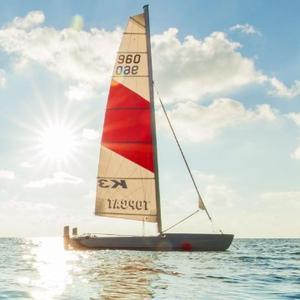 大森林999888 头像