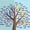 大气西柚dM3头像