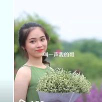 根香彩梅 头像
