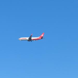 会飞的机器狗 头像