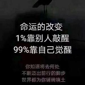 程序员盘龙 头像