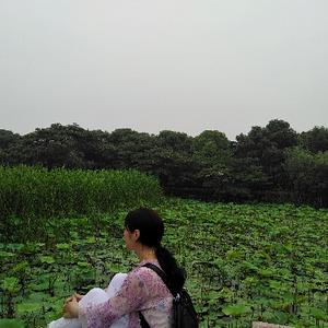 棉花也是花1101