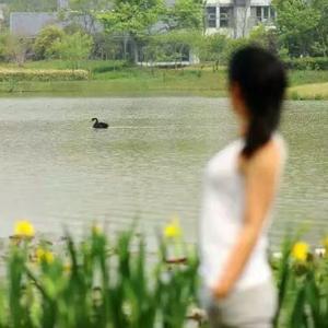 凡一说瑜伽 头像