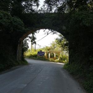 昊昊韬韬