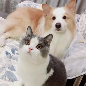 我是莉莉安711 头像