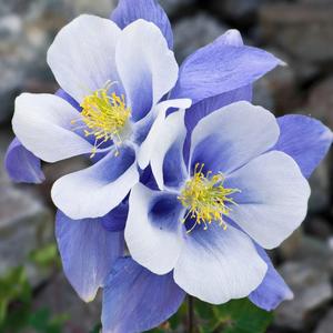 黄淮宏大农业 头像