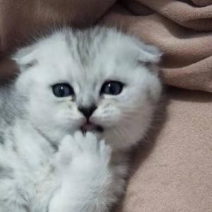 阿彬哥玩玩玩 头像