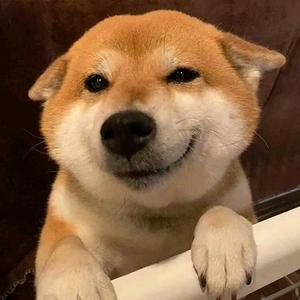 山顶眺望远方 头像