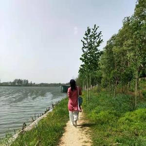 读书的兰心 头像