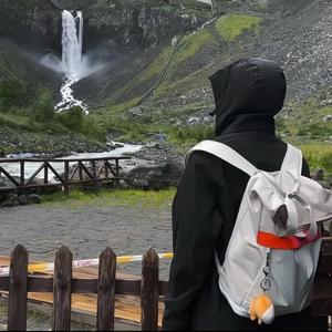 胖哥途行记 头像