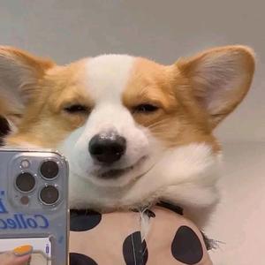 一往无前屁大点小事分享者 头像