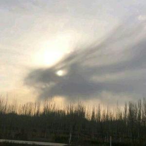 励志一亿金币 头像