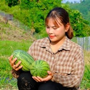 越南女孩荒野独居头像