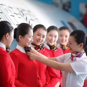 民航人才输送 头像