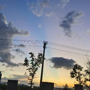 去寺庙的饭桶 头像