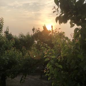 郑州合心健康生活 头像