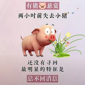 才思敏捷的梦伟头像
