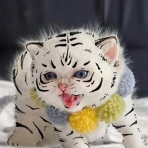 小泽冷知识～ 头像