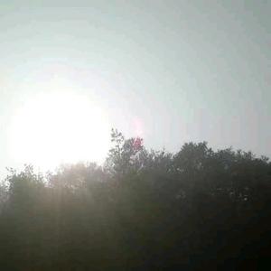 楚天舒老肖 头像