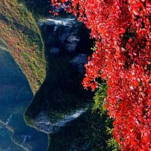 山外青山01 头像