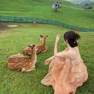 文案予欢喜 头像