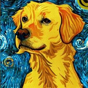 开源AI的力量 头像