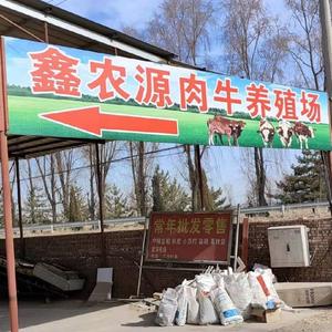 鑫农源肉牛养殖场 头像