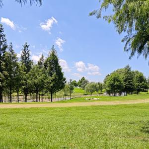 每天和你说晚安 头像