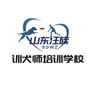 山东汪族部落宠物训练 头像