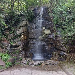 @长期看好中国 头像