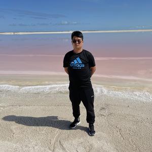 阿林带你看世界 头像