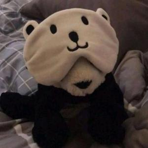 ๑陳陈陈a🧸 头像