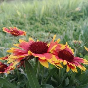 人生路很不熟 头像