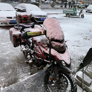 孤独旅者坚 头像