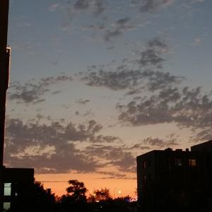 儒雅幻想梦 头像