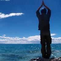 禅与生活艺术 头像