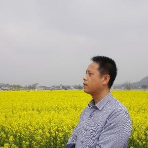 星星点灯tzy 头像