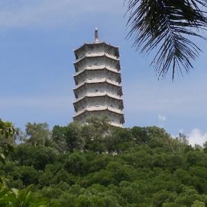 番茄597769214504846 头像