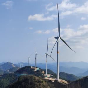 梦幻兕大王 头像