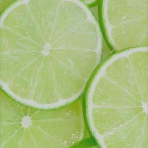 小虫飞123 头像