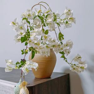 爱养花的耳东陈 头像