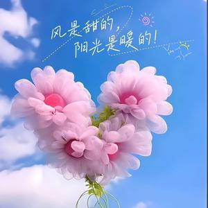 运筹帷幄 头像