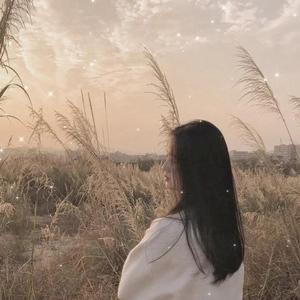 暮野情感音乐 头像